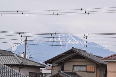 晴れた日は駐車場から富士山が望めます