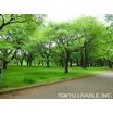 公園