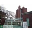 大学