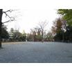 公園
