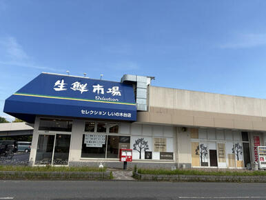 セレクション しいの木台店