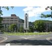 大学