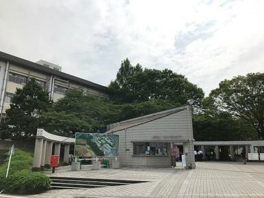 私立城西大学