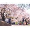 公園