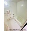 バス/シャワー