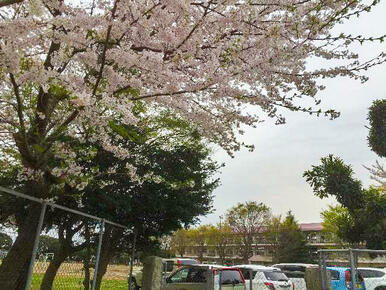 富里市立富里小学校