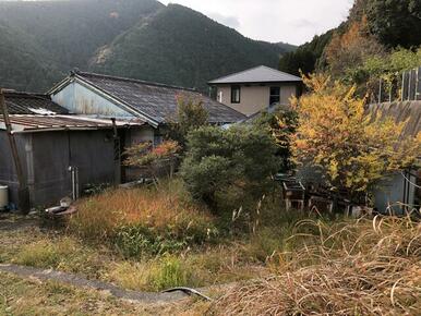 裏側に空き地がありますので多少畑をすることができます。