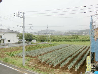 ベランダからは浅川や南平の丘陵が眺められます