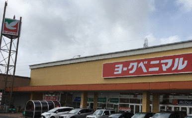 ヨークベニマル南吉成店