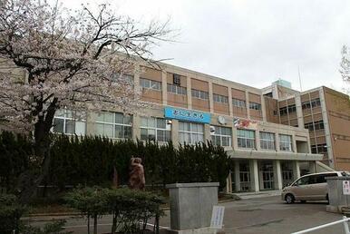 秋田南中学校 1000m