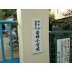 小学校