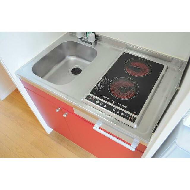 電熱タイプのコンロが２口