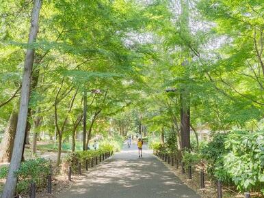 林試の森公園