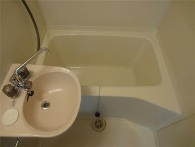 前回募集時のお写真です。