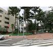 公園