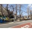 公園