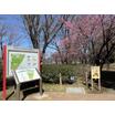 公園