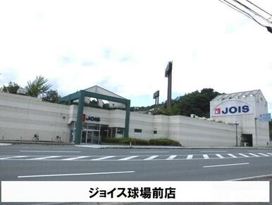 ジョイス球場前店