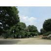 公園