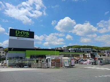 ロイヤルホームセンター物集女店