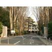 大学