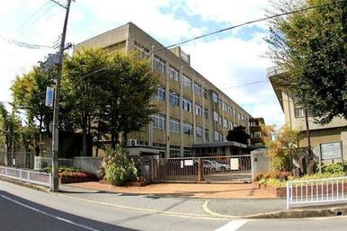 城乾小学校まで８５ｍ