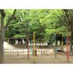 公園