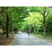 公園