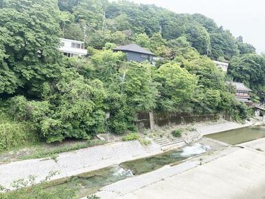 蛍の飛び交う清流です