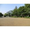 公園