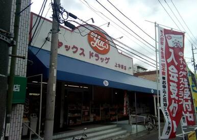 ヤックスドラッグ上本郷店