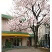 幼稚園、保育園