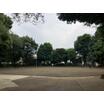 公園
