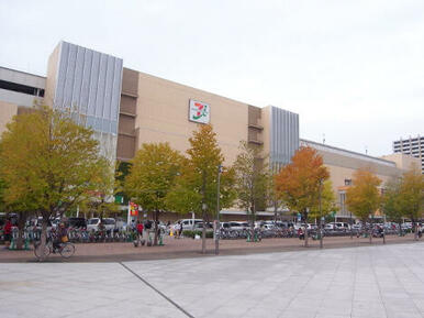 アリオ川口