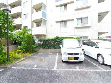 隣マンションの敷地内駐車場から見たお庭はこんな感じです。（グリーンカーテンが目隠し効果）