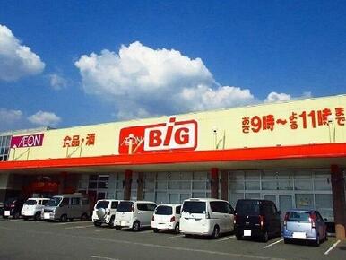 ザ　ビッグ三日月店