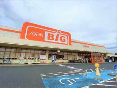 ザ・ビッグ新市店