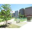 公園