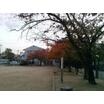 公園
