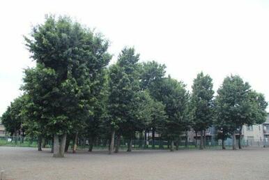緑の広場２９号
