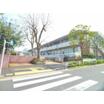 大学