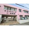 幼稚園、保育園