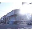 大学