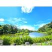 公園