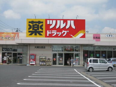 ツルハドラッグ大網白里店