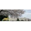 小学校