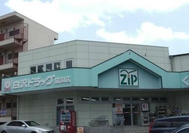Zipドラッグ白沢猫洞