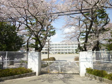 線路の向こうの第３小学校。桜の名所です。