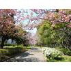 公園
