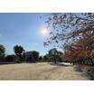 公園